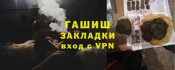 индика Арсеньев