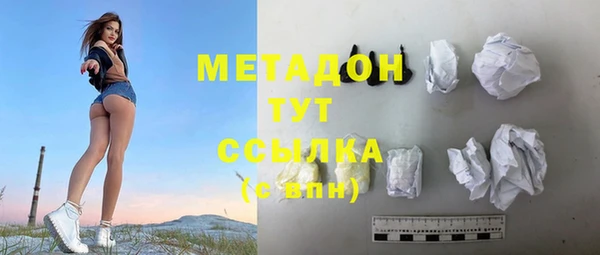 индика Арсеньев