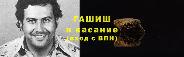 индика Арсеньев