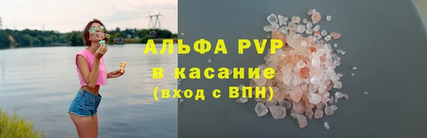 индика Арсеньев