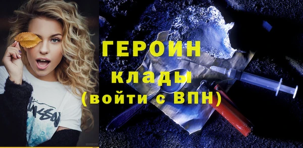 индика Арсеньев