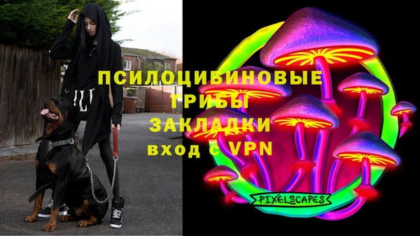 2c-b Аркадак