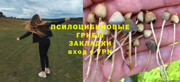 эйфоретик Баксан