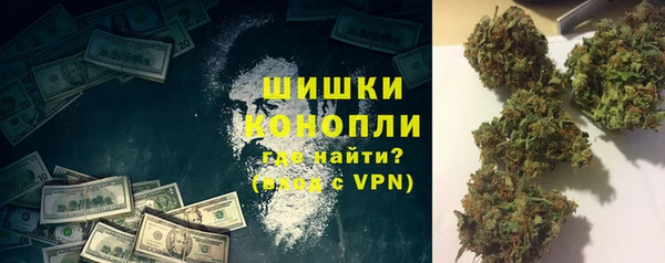 индика Арсеньев