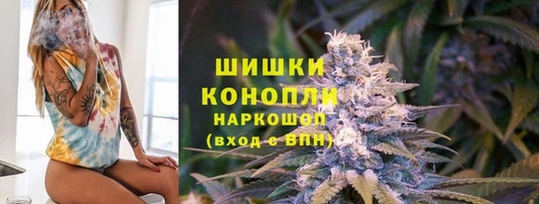 индика Арсеньев