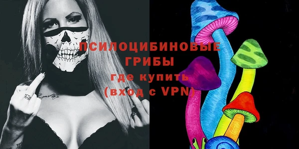 индика Арсеньев