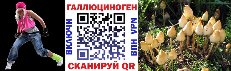 Галлюциногенные грибы Psilocybe  Удачный 